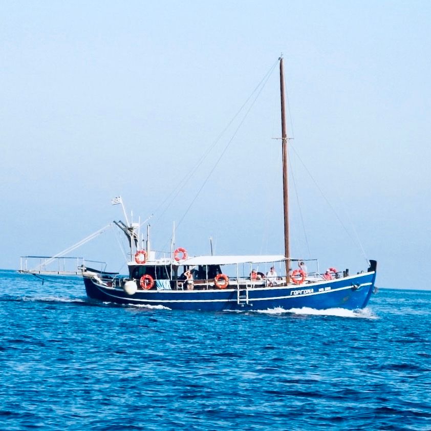 MARINE PARK TOUR - GORGONA 